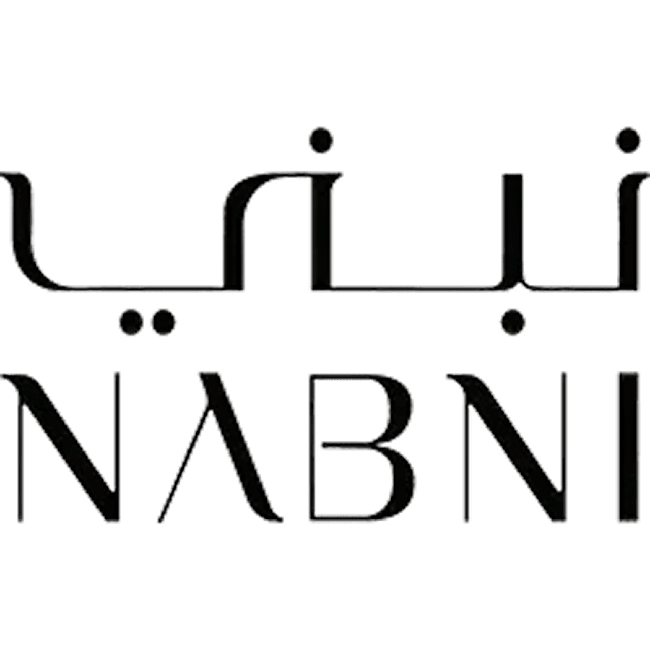 Nabni Developments
